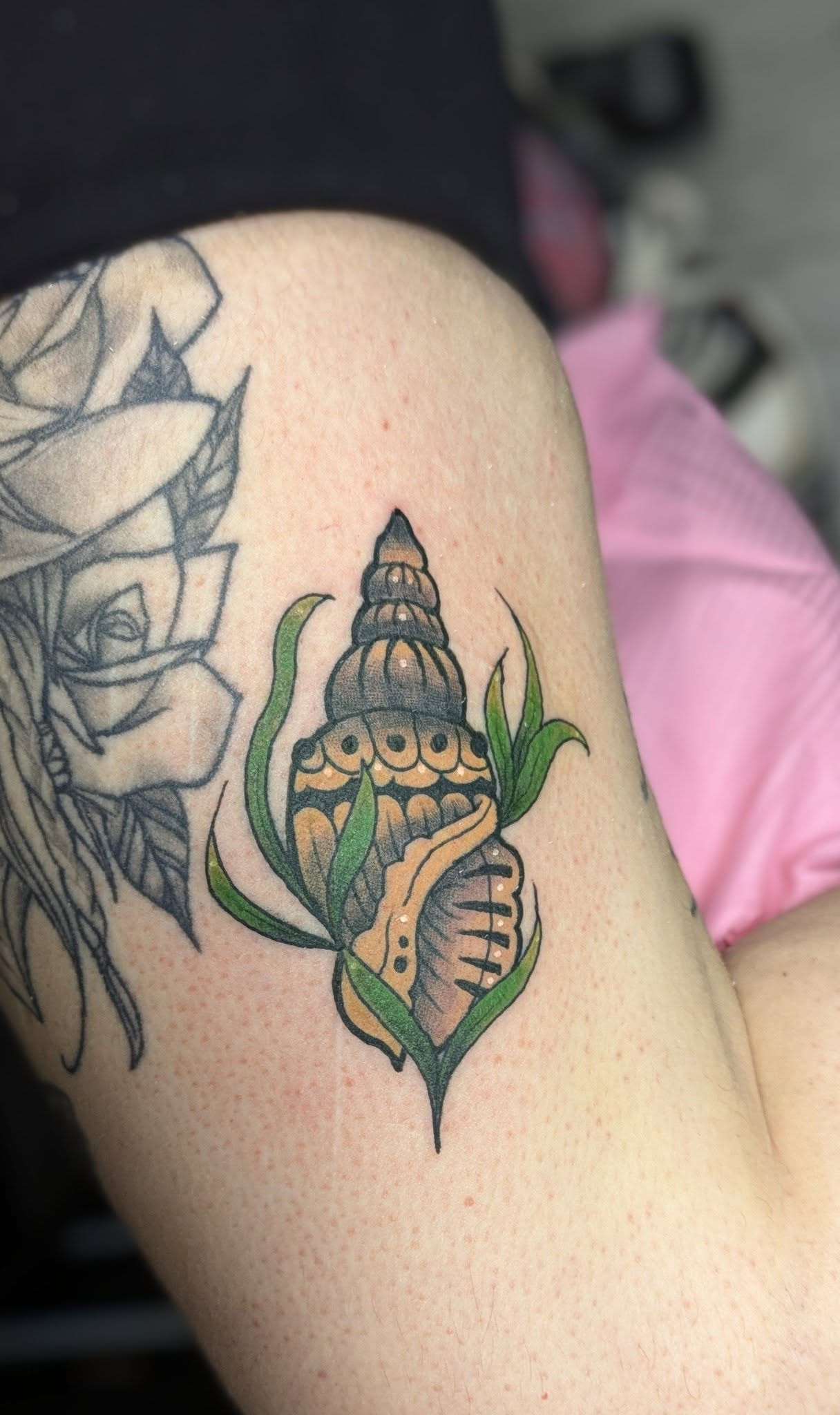 Shell tattoo, neo-trad style. juniortattooartist neotraditional shell shelltattoo tattoo tattooartist uktattoo uktattooist wirraltattoo