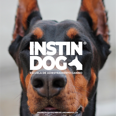 Branding | INSTINDOG. brand branding corporativo design dogs escuela graphic design identidad identidaddemarca illustration marca marketing mexico photography typography world