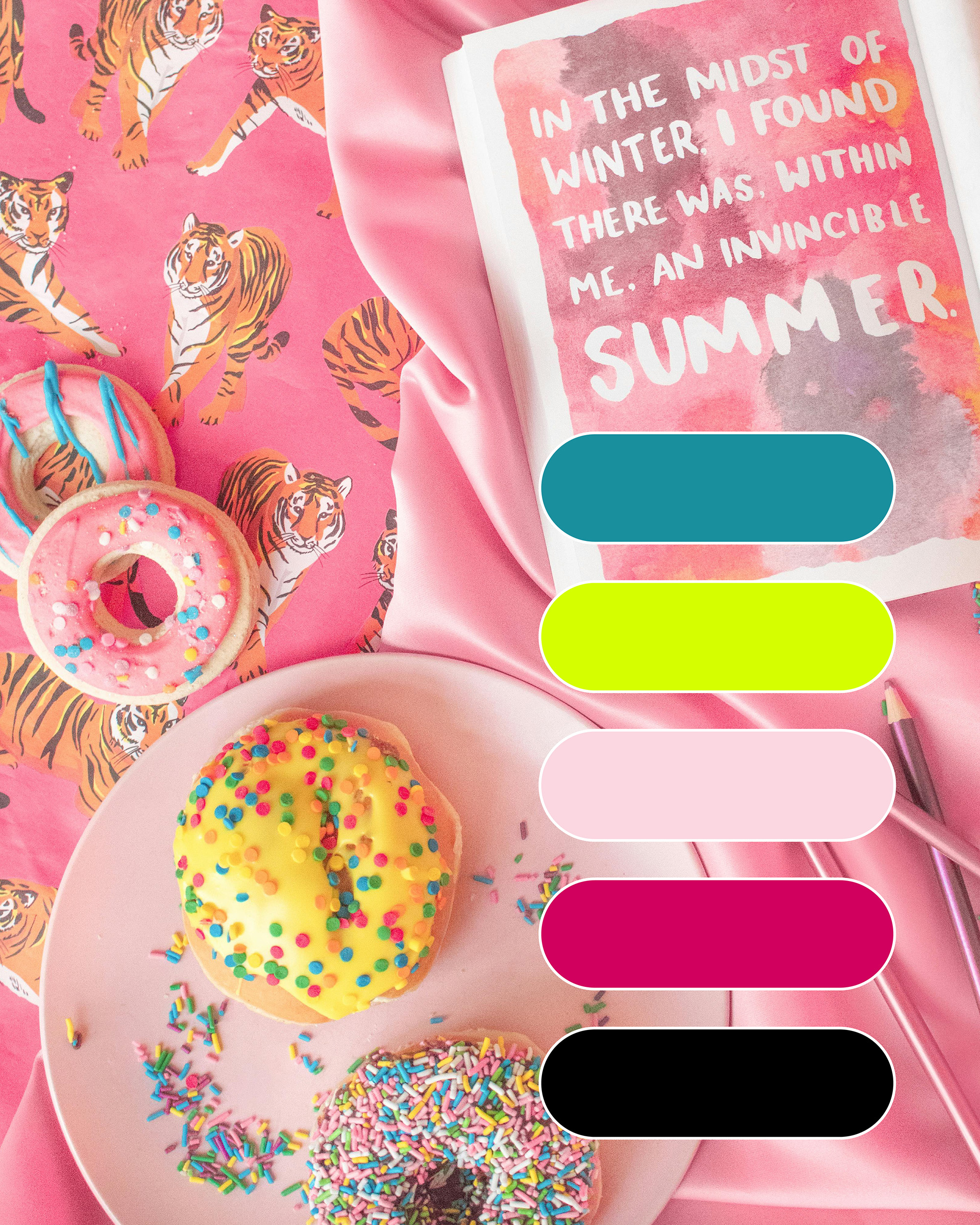 Philly Love Doc Brand & Website Design brand design branding graphic design logo design website design