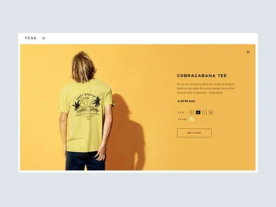 TCSS Lookbook Concept – Motion Study after effects animation concept interaction lookbook motion surf ui ux web design webgl