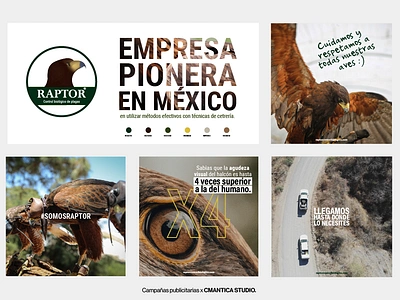 Advertising | RAPTOR. advertising branding design graphic design guadalajara halcones mexico photography publicidad typography