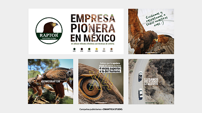 Advertising | RAPTOR. advertising branding design graphic design guadalajara halcones mexico photography publicidad typography