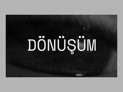 Exhibition Webpage UI Animation after affects animation art typography ui ux web