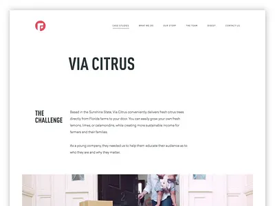 Pre-Pro, Pro, Post. Repeat. focus lab marketing photography styling