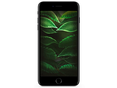 Ceylon UI + Motion Design animation app debut design green icon illustration ios nature travel typography ui ux vector