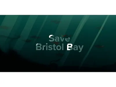 Up and down and up and down 2d after effects alaska bear bird fish illustration landscape rig trees water