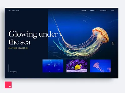 InVision Studio — Under the Sea Portfolio animation design design tools interaction invision invision studio invisionstudio transition