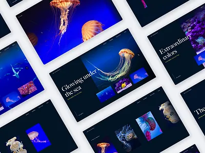 InVision Studio — Under the Sea animation design design tools interaction invision invision studio invisionstudio transition