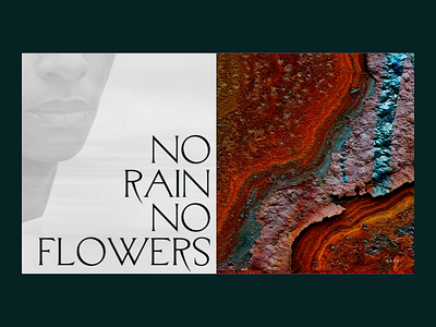 Flowers animation clean color design dribbble grid minimalism principle simple ui web website