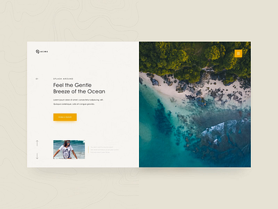 Transitions animation design interaction landing page ui ui design ux web design website xd