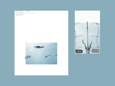 Cod Wars animation design desktop history mobile readymag responsive tablet template ui ux web website