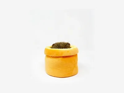 Puppet! bear plushie puppet stop motion stuffed swag toy