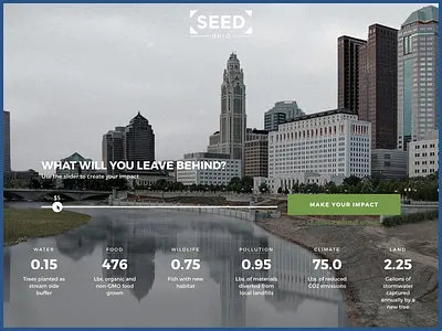 SEED Ohio Donation Form angular animation donation form uianimation uiux webdesign