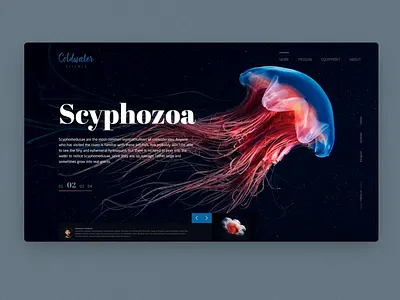 Blog page — daily Inspiration 21 adobe xd animation big background images clean daily inspire grid grid layout interaction minimalistic ui interaction web
