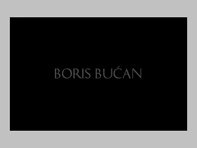 Boris Bucan — Motion Direction animation art cart clean design interaction minimal mininal simple transitions typography ui webdesign whitespace