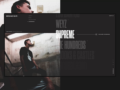 Lifestyle Clothing Animation after affects animation concept dark design flat interface layout typography ui ux