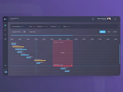 RY (Taxi dashboard) applicaiton dashboard timeline user experience user interface web desgin