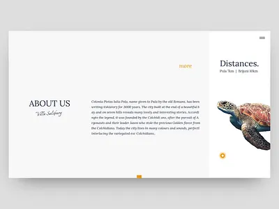 text focus animations adobe apartment blue bold color branding clean design gif grid illustration logo minimal sketch typography ui ux web website