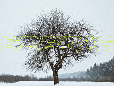 Spring came! animation season spring transition typogrphy