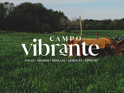 Branding | CAMPO VIBRANTE. branding cereales creativa design desing direccion granos graphic design illustration logo mexico naming vector