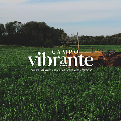 Branding | CAMPO VIBRANTE. branding cereales creativa design desing direccion granos graphic design illustration logo mexico naming vector