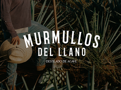 Branding | MURMULLOS. branding design desing diseño graphic design illustration innovacion landingpage logo logotipo mexico naming nuevo