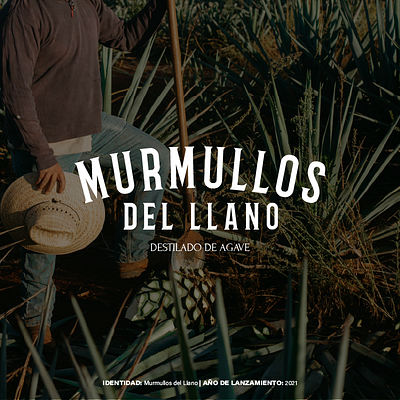 Branding | MURMULLOS. branding design desing diseño graphic design illustration innovacion landingpage logo logotipo mexico naming nuevo