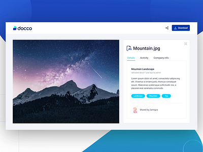 Docco - Analytics for your shared documents analytics attachment branding dashboard interface expanding file infomation file management file preview hide interaction logo maginify security share files storage track engagement track files ui animation ui design web platform