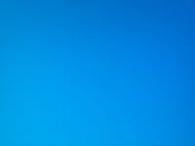 Conceito Peixe - mark + logo brand identity branding fish logo motion