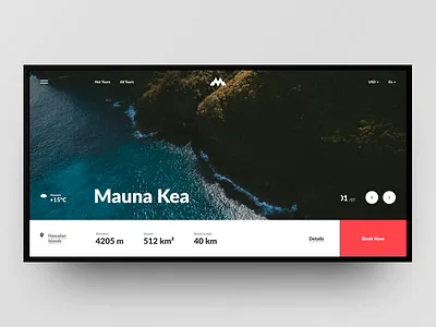 MountainWorld - online travelling booking animation booking design grid interaction landing mountain site slider travel ui ux web design web site