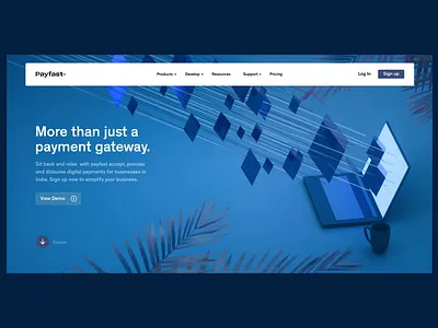 Payfast- Payment Gateway website concepts 2d 3d animation cinema 4d clean minimal otoy shapes ui web design user interface website