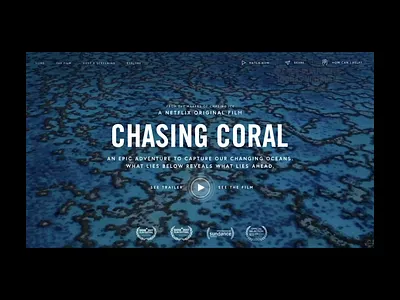 Hero + Scrolled down sections animation