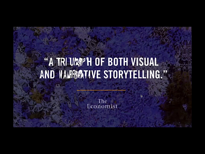 Water Ripples on mouse move effect hover ripples webgl