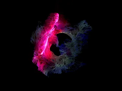 Organic Playground 3d ae animation motion organic