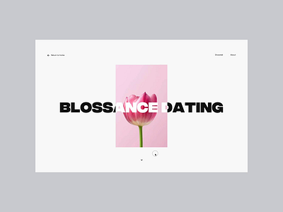 Portfolio '19 – Case study animation app cards clean design experience homepage interaction interactive landing landing page minimal motion navigation typography ui ux web webapp website
