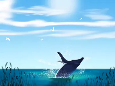 A jumping whale animation color illustration light