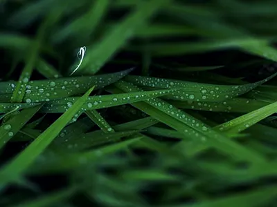 Kometa cyrillic script animation character concept cyrillic lettering logo