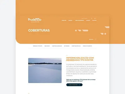 Prudencio - Services animation page page layout prudencio services water waterproof waterproofing