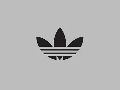 Creators Collective | Montage design illustration motion design poster typography