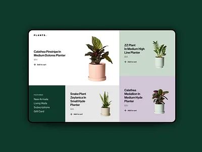 IxD Challenge — Day 15 21daysofixd animation interaction invision studio minimalism plants ui ux website