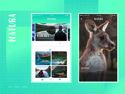 Micro interaction | Natura adobe xd australia canada gallery kangaroo madewithxd microinteraction microinteractions ui ui design xd