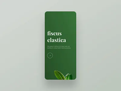 Daily UI 001 – Plant app sign up clean ui daily ui daily ui 001 dailyui figma minimal minimalism onboarding plant principle sign up signup simple