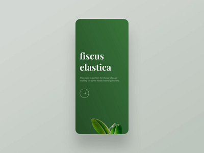 Daily UI 001 – Plant app sign up clean ui daily ui daily ui 001 dailyui figma minimal minimalism onboarding plant principle sign up signup simple