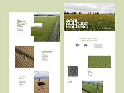 Agriculture Holding Website Design agriculture animation business website company page company website design design studio graphic design home page interaction interface motion ui user experience ux web web design web interface website design white space