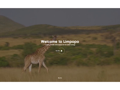 GoLimpopo Tourism landing page design landingpage limpopo protopie safari south africa tourism ui design web page design website design