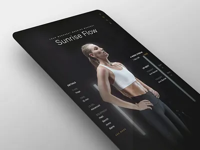 Workout Mirror Interface circuit exercise graph large screen mirror ui workout