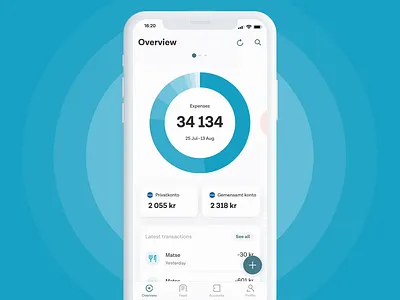 Tink Expense Overview app design finance interaction design ios ios app pfm product design ui