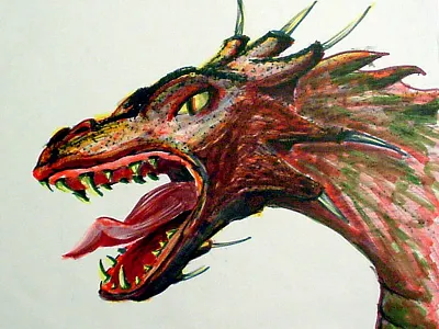 Dragon Illustration design dragon graphic design illustration marker