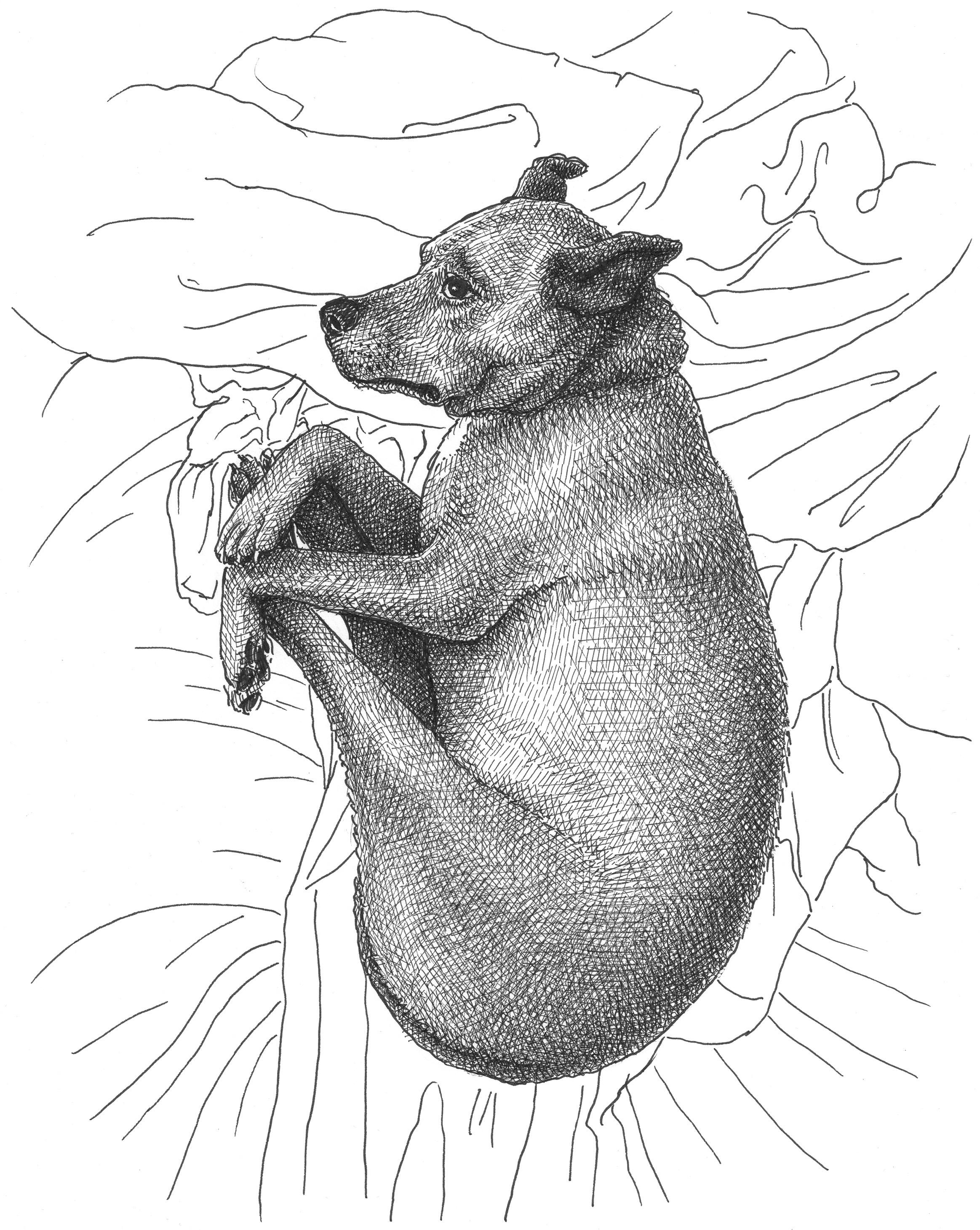 The Weight of the World animals art artist artwork dog drawing hand drawn illustration ink