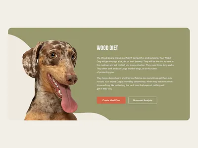Chi Dog Mobile Website Design - Dog Food Diet dog food food lightspace mobile mobile design ui ui design